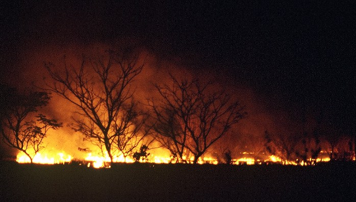 Kakdu national park: bush fire. Photo: L. Bobke